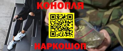 гидра Будённовск