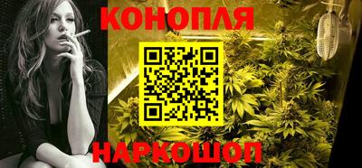 гидра Будённовск